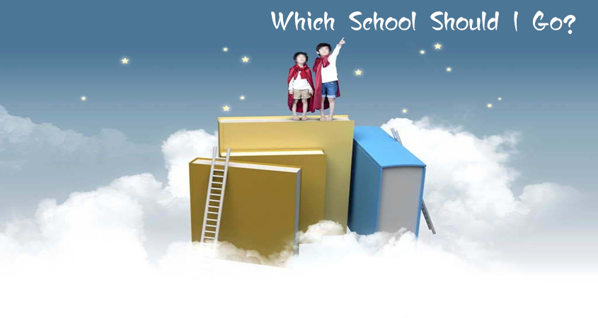 Chinese Education Options for International Citizens