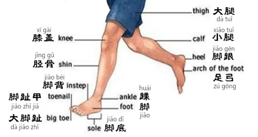 Learn Chinese Vocabulary In An Easy Way Body Part 2 pin-by-buda-tattoo-on-tattoo-hand-tattoos-for-guys-arm-tattoos-for