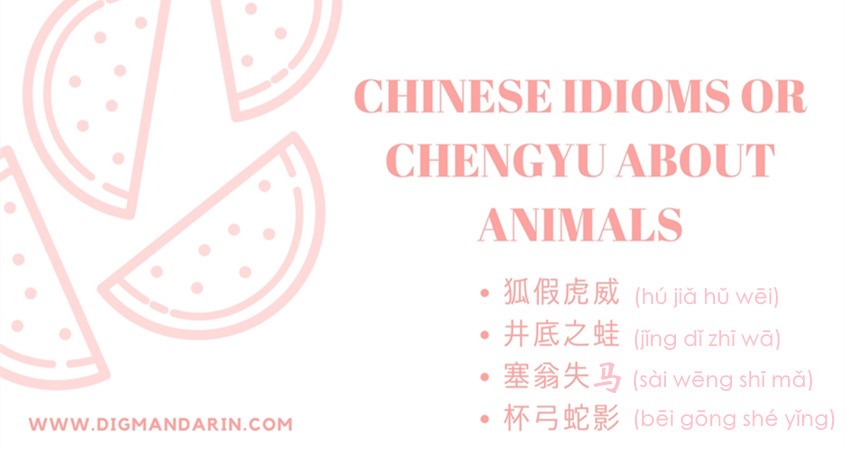 Chinese Idioms or Chéngyǔ About Animals