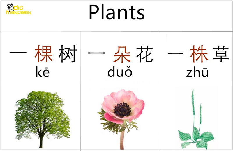 Chinese Measure Words (Part 1): People, Animals, Plants Chinese Measure Words (Part 1): People, Animals, Plants