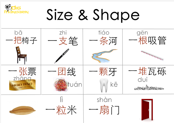 size and shape
