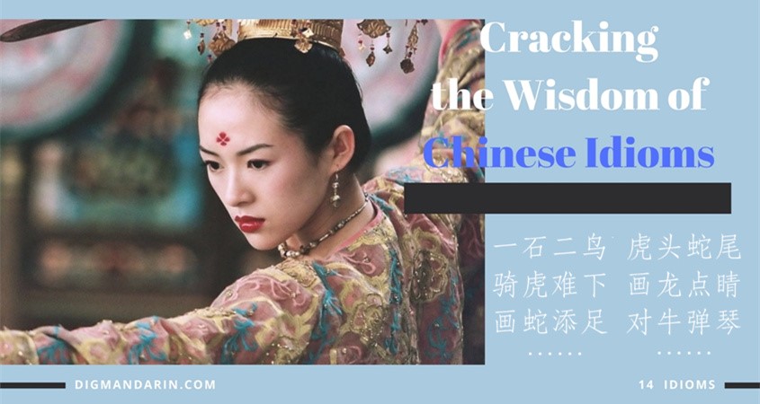 Cracking the Wisdom of Chinese Idioms