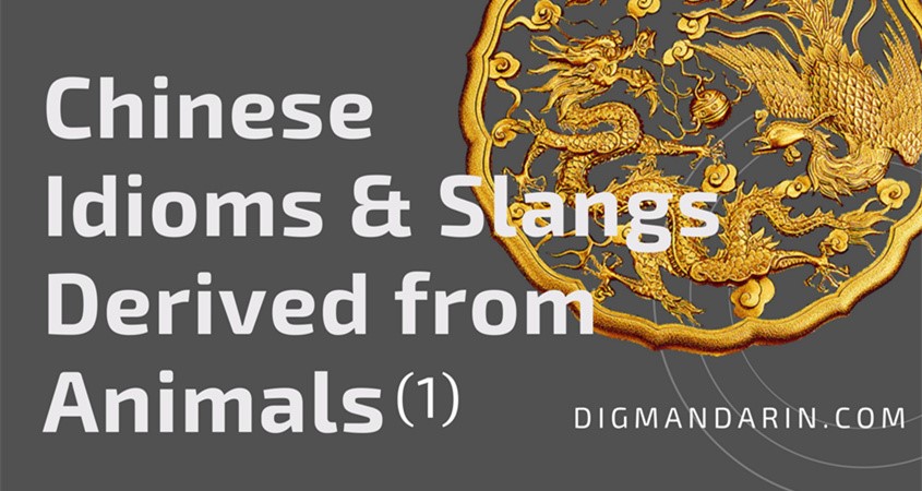 Chinese Idioms & Slangs Derived from Animals (Part 1)