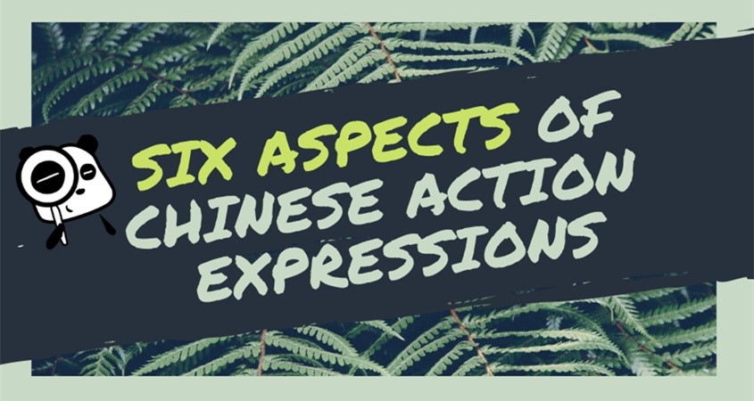 A Summary of the Different Aspects of Chinese Action Expressions