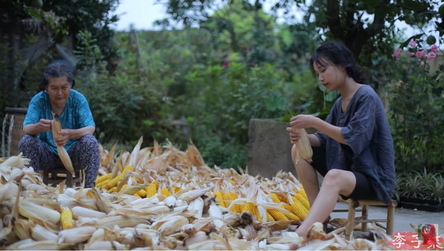 All You Want to Know about Li Ziqi (李子柒)